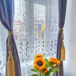 Royal Mansion In Unirii Square Cluj-Napoca